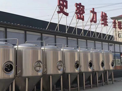 井陉精酿啤酒设备厂—如何判断精酿啤酒设备的密封件需要更换？